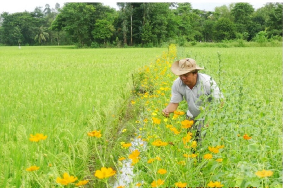 Lâm Đồng: Gia tăng khả năng chống chịu sinh vật gây hại cho cây trồng