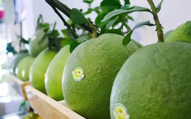 Bưởi Việt chính thức vào Australia, thêm cơ hội chinh phục thị trường khó tính