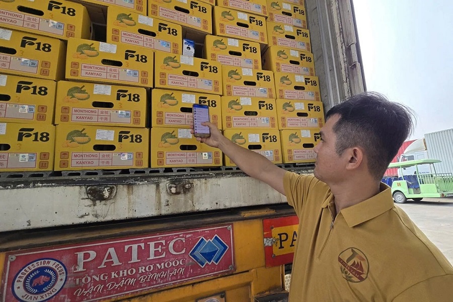 Tem truy xuất được d&aacute;n tr&ecirc;n từng th&ugrave;ng h&agrave;ng, g&oacute;p phần kết nối th&ocirc;ng tin của l&ocirc; h&agrave;ng từ vườn trồng đến khi xuất khẩu. Ảnh: Ho&agrave;ng Nghĩa.