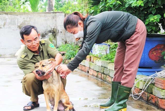 Đà Nẵng tăng cường quản lý vật nuôi, phòng chống, bệnh dại