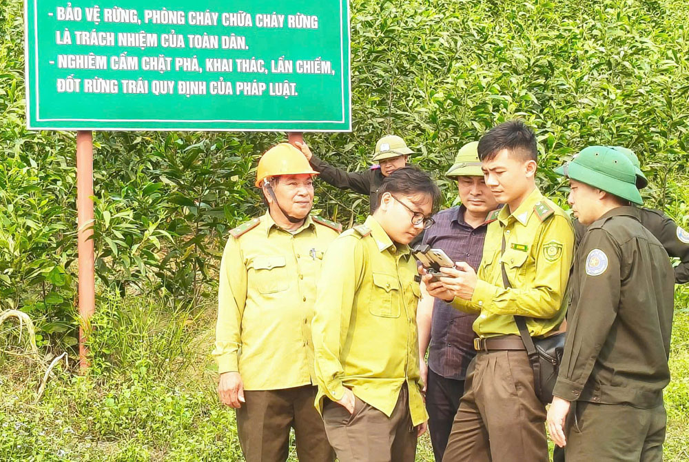 Bắc Ninh: Cảnh báo cháy rừng cấp nguy hiểm tại nhiều địa phương