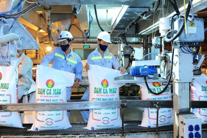 năm 2026, doanh nghiệp đặt kế hoạch ti&ecirc;u thụ 771.000 tấn ure, 395.000 tấn ph&acirc;n b&oacute;n tự doanh, 350.000 tấn ph&acirc;n NPK, 120.000 tấn đạm chức năng v&agrave; 3.700 tấn CO2 thực phẩm