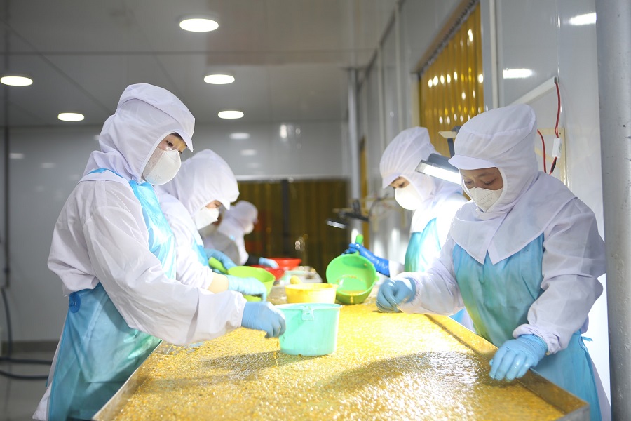 Doanh nghiệp đầu tư chuỗi sản xuất kh&eacute;p k&iacute;n nhằm tạo ra sản phẩm xanh, sạch, đ&aacute;p ứng nhu cầu thị trường