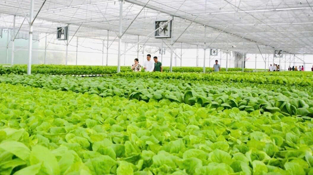 Tây Ninh thúc đẩy đổi mới sáng tạo và chuyển giao công nghệ