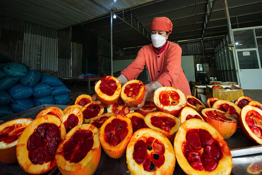 Sản phẩm n&ocirc;ng nghiệp của L&acirc;m Đồng được xử l&yacute; theo quy tr&igrave;nh sạch, bảo đảm an to&agrave;n v&agrave; truy xuất nguồn gốc