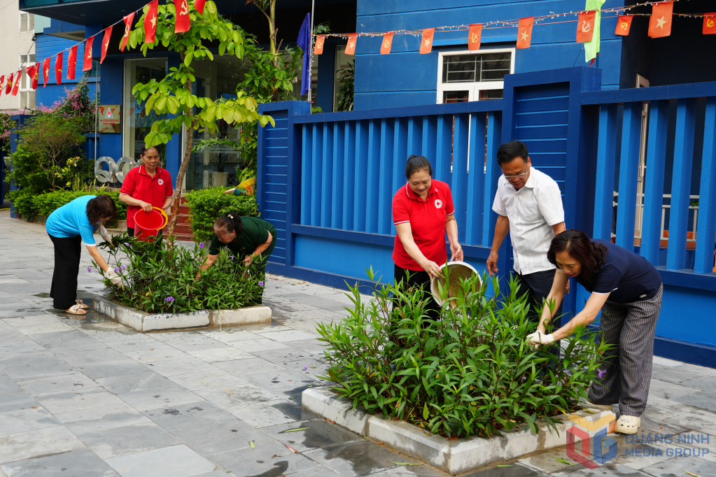 Tr&ecirc;n địa b&agrave;n phường Hạ Long hiện c&oacute; 27 tuyến đường kiểu mẫu, trong đ&oacute; c&oacute; 12 tuyến đường hoa