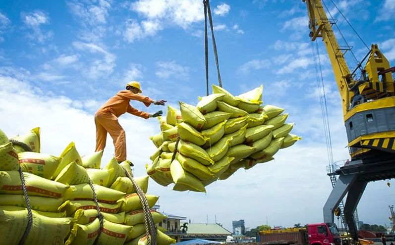 Giá lúa gạo đồng loạt tăng, xuất khẩu khởi sắc