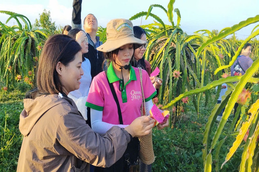 C&aacute;c doanh nghiệp x&acirc;y dựng được nhiều tour, tuyến, trải nghiệm bằng đường bộ.