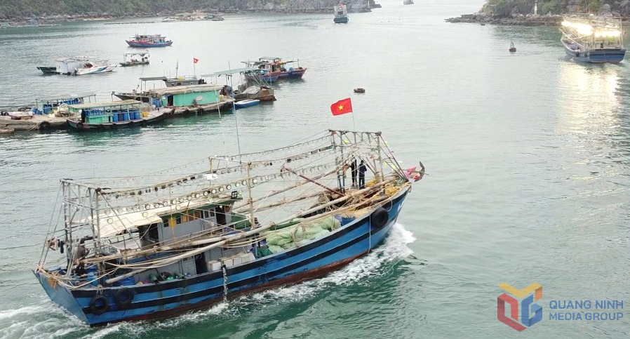 Quảng Ninh chuyển đổi phương thức khai thác, đảm bảo sinh kế cho ngư dân