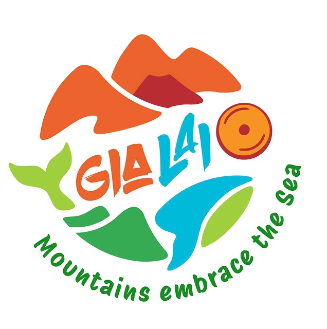 Logo Năm Du lịch Quốc gia &ndash; Gia Lai năm 2026. Ảnh: VH