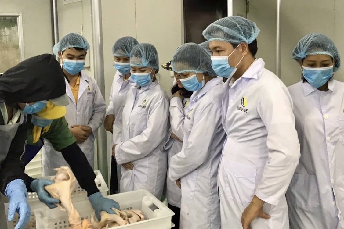 Hải Phòng: Chấn chỉnh công tác quản lý, kiểm soát giết mổ, kinh doanh động vật bảo đảm an toàn thực phẩm