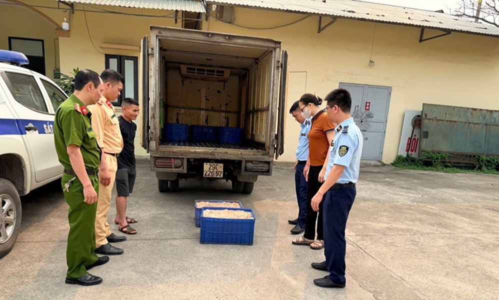 Hưng Yên tiêu hủy 570 kg lòng lợn không đảm bảo an toàn thực phẩm