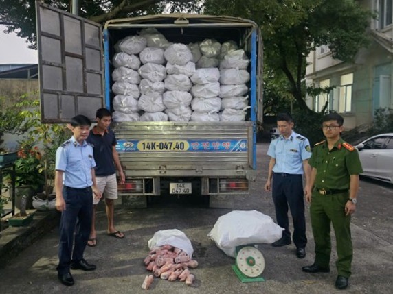 Quảng Ninh: Thu giữ hơn 12 tấn chân lợn đông lạnh không rõ nguồn gốc