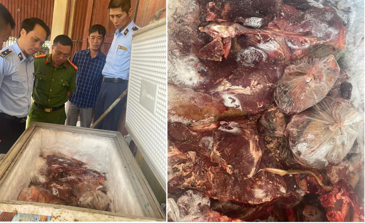 Hưng Yên: Xử phạt cơ sở tàng trữ 42 kg thịt trâu ôi thiu, biến đổi màu sắc