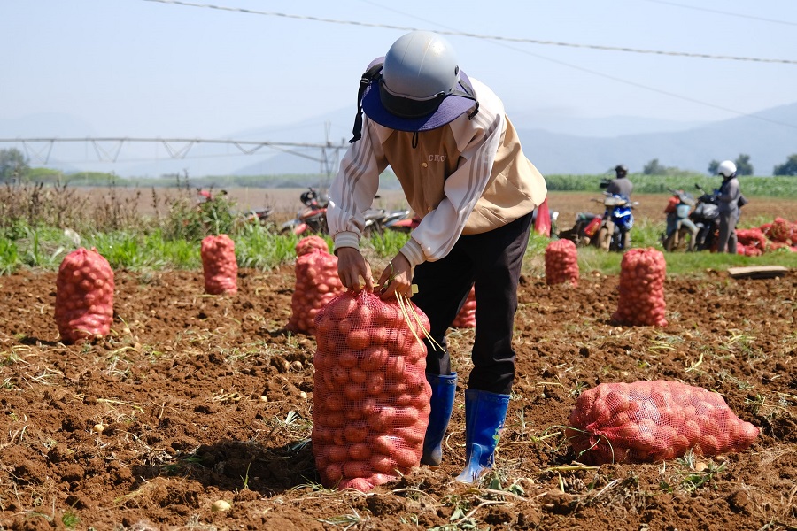C&aacute;n bộ kỹ thuật c&ocirc;ng ty c&oacute; mặt lấy mẫu để đ&aacute;nh gi&aacute; chất lượng sản phẩm