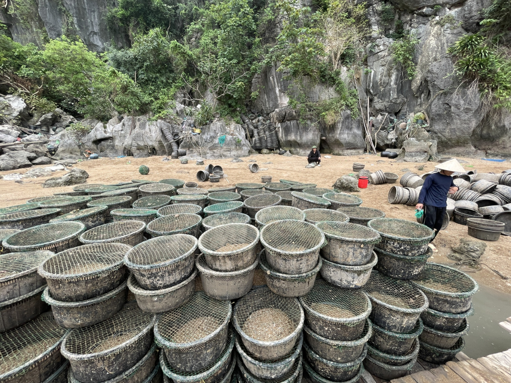 Tang vật lồng cát để nuôi ngao trái phép tại hiện trường Tang vật lồng cát để nuôi ngao trái phép tại hiện trường