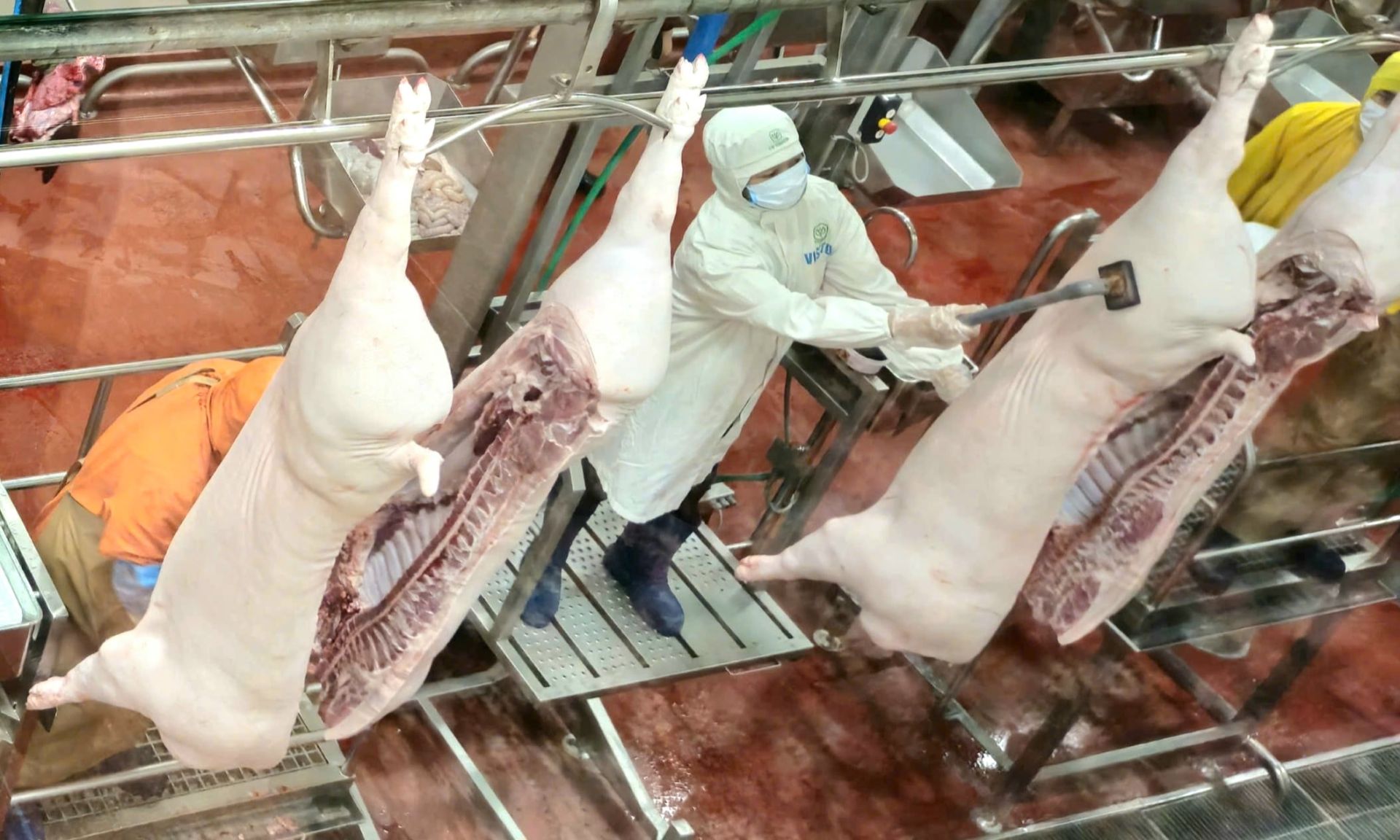 Hà Nội siết an toàn thực phẩm cho 10 triệu dân