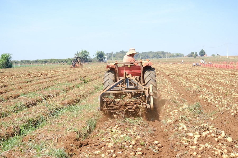 Việc cơ giới h&oacute;a trong kh&acirc;u thu hoạch gi&uacute;p n&ocirc;ng d&acirc;n tiết kiệm thời gian v&agrave; chi ph&iacute;