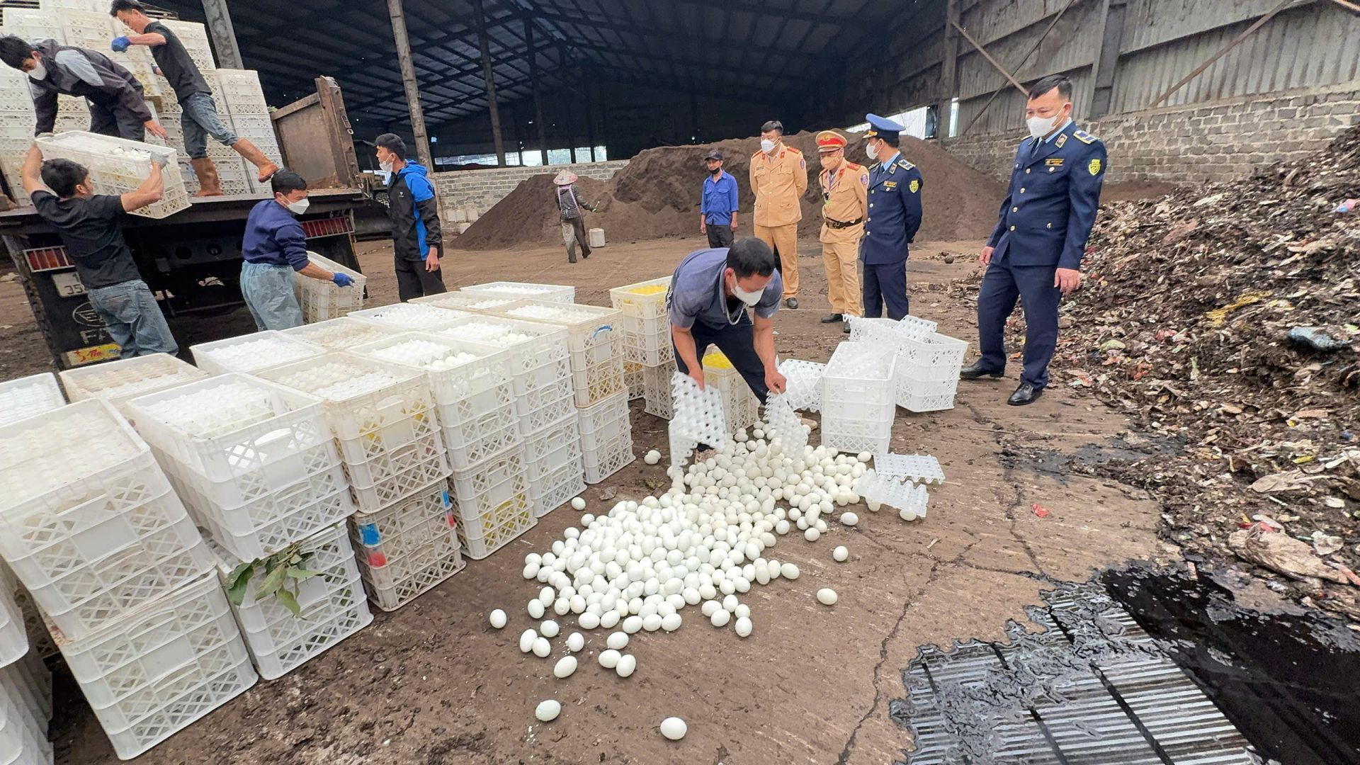 Ngay trong những ng&agrave;y đầu sau Tết B&iacute;nh Ngọ, lực lượng chức năng đ&atilde; ph&aacute;t hiện