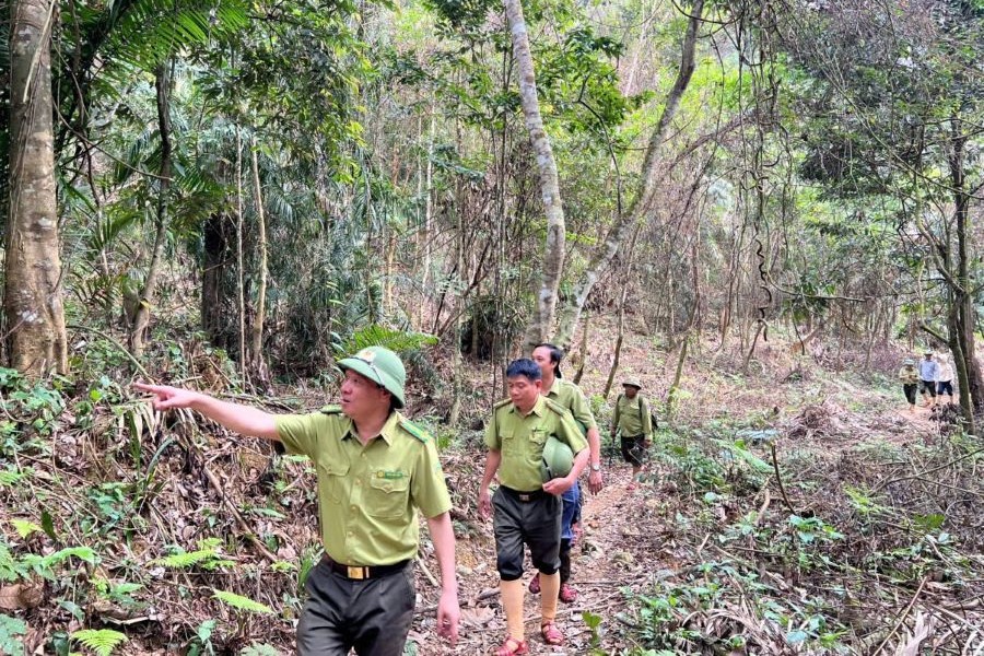 Hà Tĩnh triển khai các biện pháp cấp bách phòng chống cháy rừng