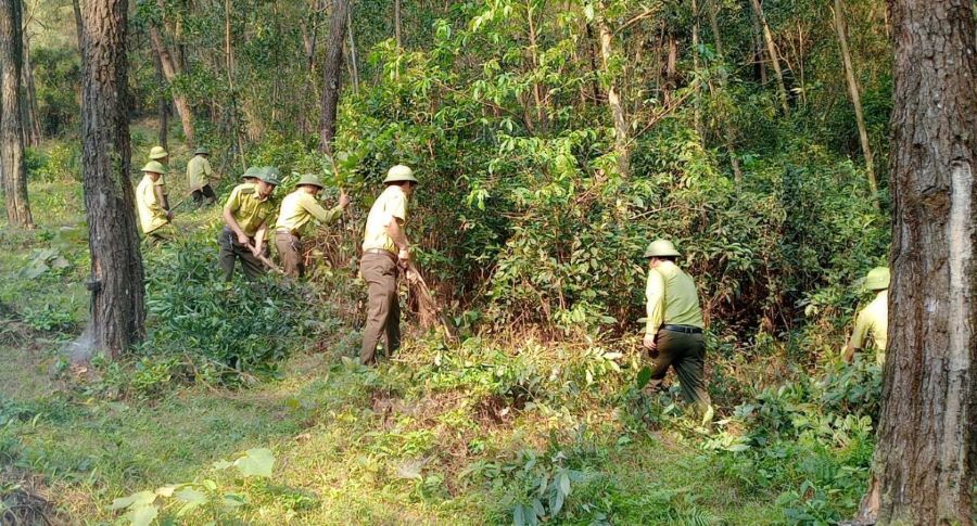 Ban Quản l&yacute; Khu bảo tồn thi&ecirc;n nhi&ecirc;n Kẻ Gỗ xử l&yacute; thực b&igrave; c&aacute;c khu rừng trọng điểm dễ ch&aacute;y