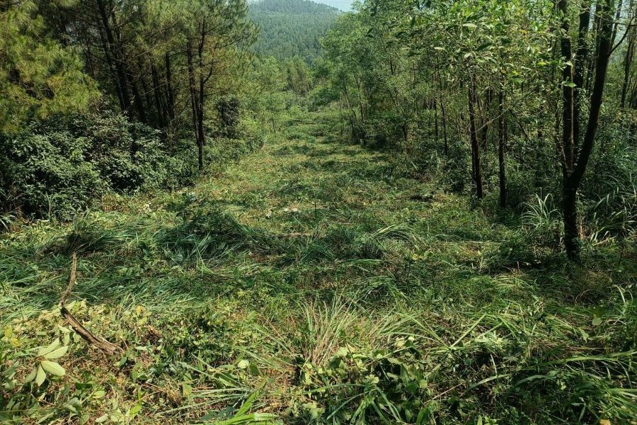 Ban Quản l&yacute; Khu bảo tồn thi&ecirc;n nhi&ecirc;n Kẻ Gỗ ph&aacute;t dọn đường băng cản lửa phục vụ c&ocirc;ng t&aacute;c PCCCR