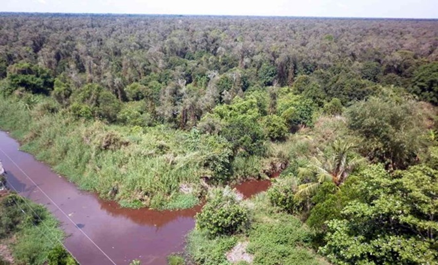 Cà Mau siết chặt phòng cháy rừng