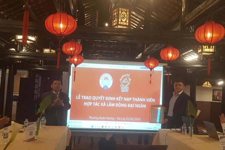 HTX Lâm Đồng Đại Ngàn ký kết hợp tác quốc tế, chính thức gia nhập Liên minh HTX tỉnh