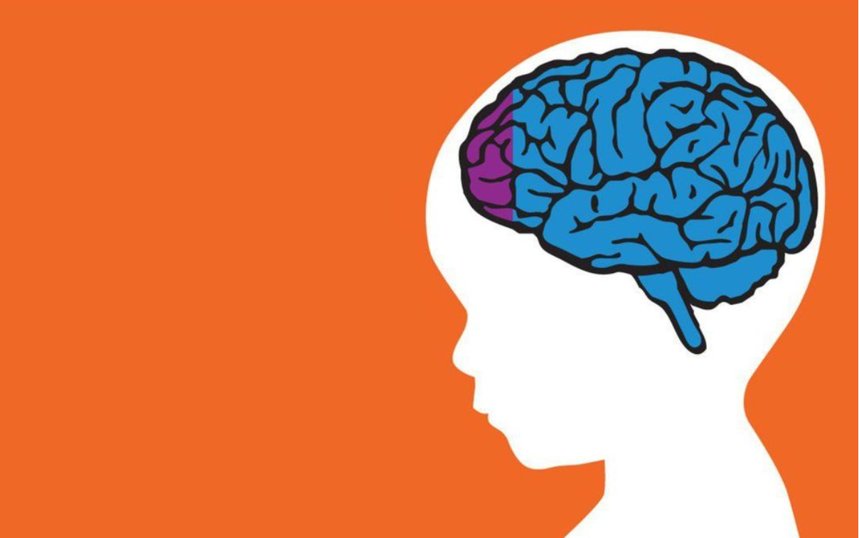 Tăng động giảm ch&uacute; &yacute; l&agrave; vấn đề của n&atilde;o bộ