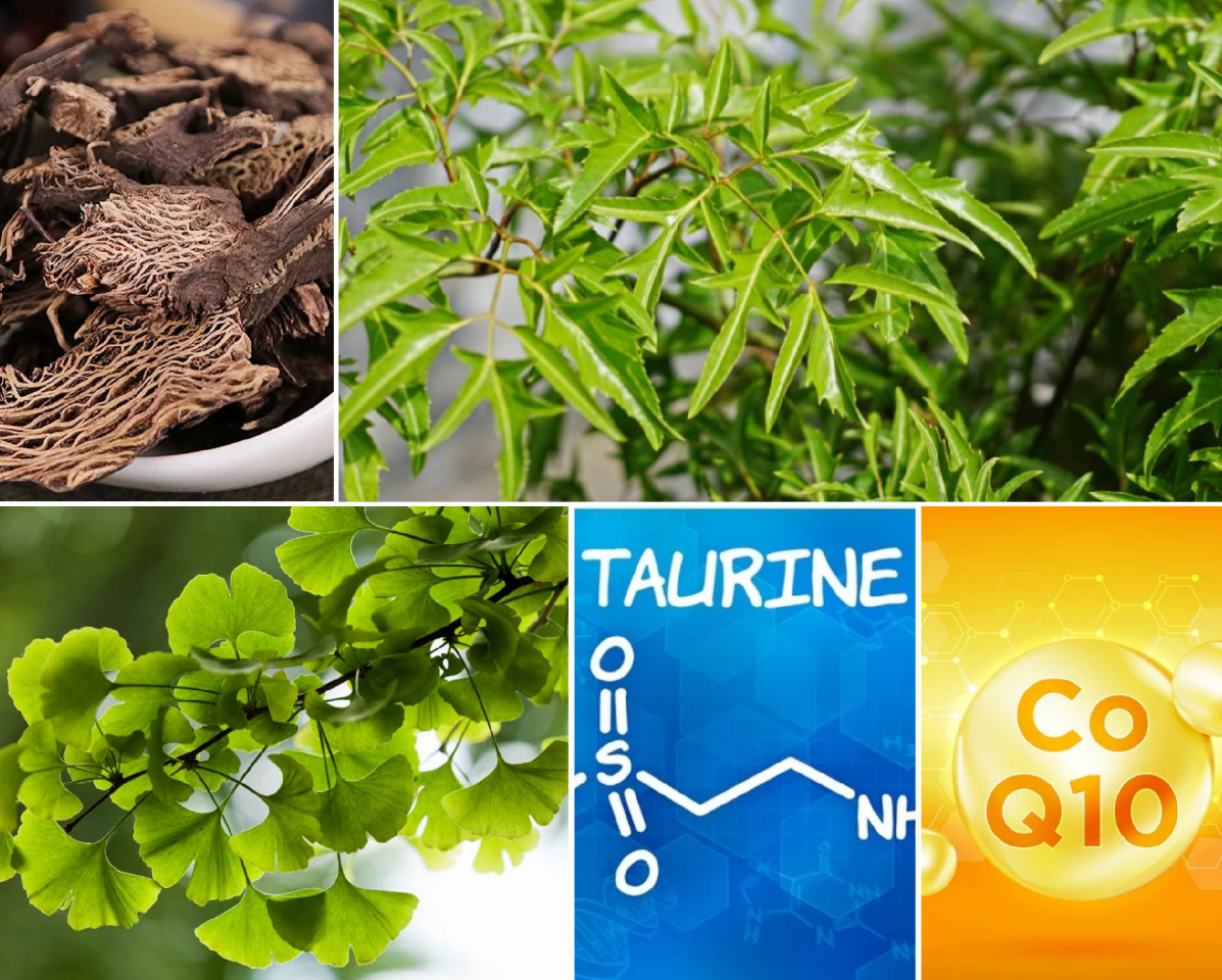 Nhiều thảo dược v&agrave; dưỡng chất tốt cho trẻ tăng động giảm ch&uacute; &yacute;