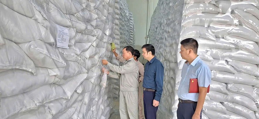 Lấy mẫu kiểm tra chất lượng gạo tại điểm kho dự trữ ĐK6 Chi cục Dự trữ Nh&agrave; nước khu vực X