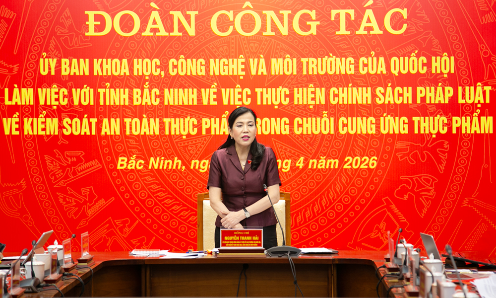 Chủ nhiệm Uỷ ban Khoa học, c&ocirc;ng nghệ v&agrave; m&ocirc;i trường của Quốc hội Nguyễn Thanh Hải kết luận tại buổi l&agrave;m việc.