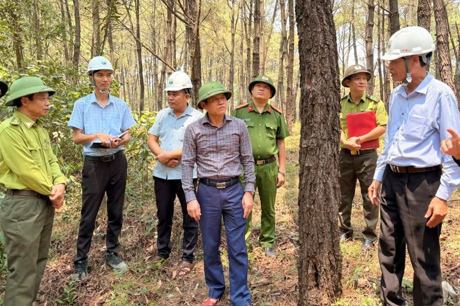 Ph&oacute; Chủ tịch UBND tỉnh L&ecirc; Văn Bảo chỉ đạo c&ocirc;ng t&aacute;c PCCCR tại C&ocirc;ng ty L&acirc;m nghiệp Đường 9