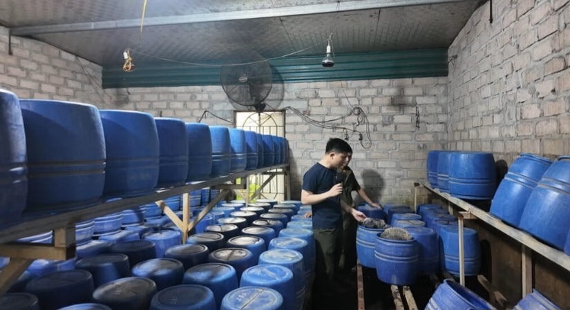 B&ecirc;n trong xưởng sản xuất gi&aacute; đỗ tr&aacute;i ph&eacute;p, h&agrave;ng trăm th&ugrave;ng ủ được bố tr&iacute; trong điều kiện chật hẹp, ẩm thấp.