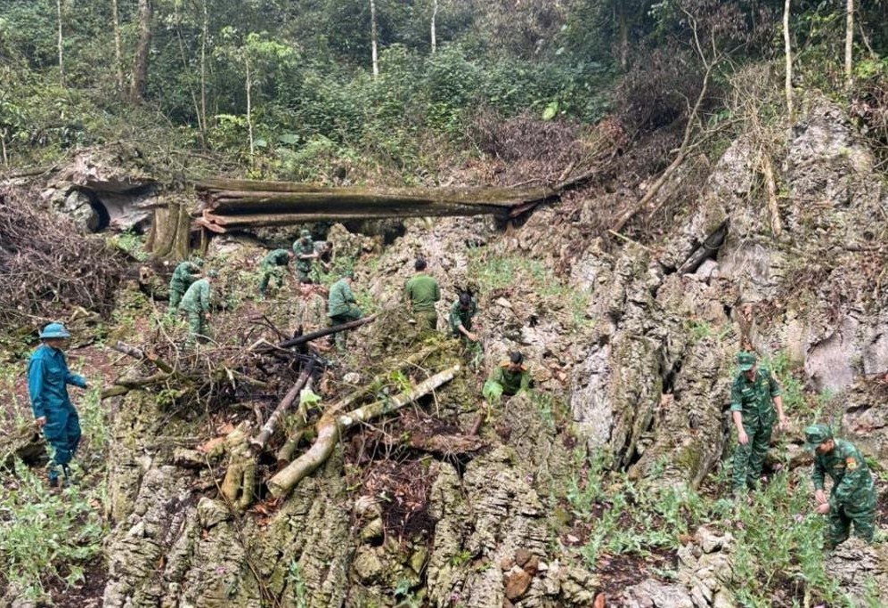 Lực lượng tiến h&agrave;nh ph&aacute; nhổ c&acirc;y thuốc phiện trồng tr&aacute;i ph&eacute;p tr&ecirc;n địa b&agrave;n x&oacute;m Lũng Mần. Ảnh: LD