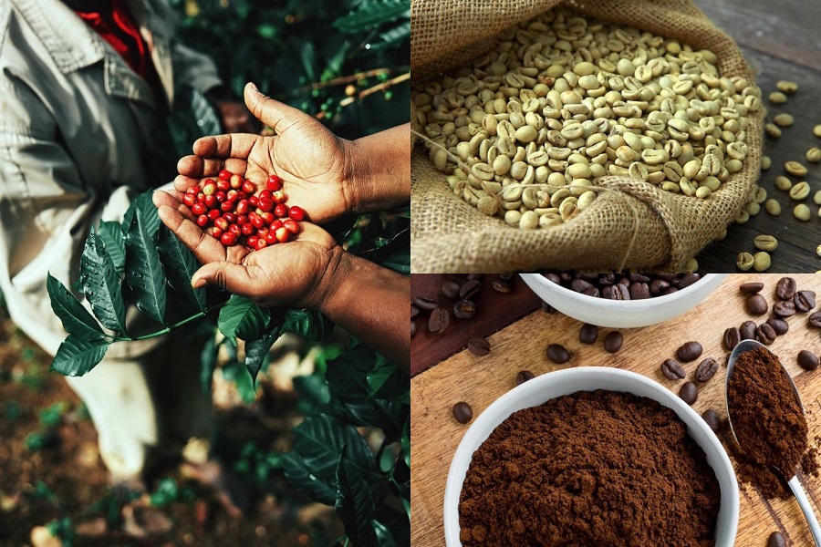 Qu&yacute; I/2026, xuất khẩu c&agrave; ph&ecirc; của Việt Nam đạt 590,5 ngh&igrave;n tấn, trị gi&aacute; 2,75 tỷ USD, tăng 12,5% về lượng, nhưng giảm 7,1% về gi&aacute; trị so với c&ugrave;ng kỳ năm 2025.