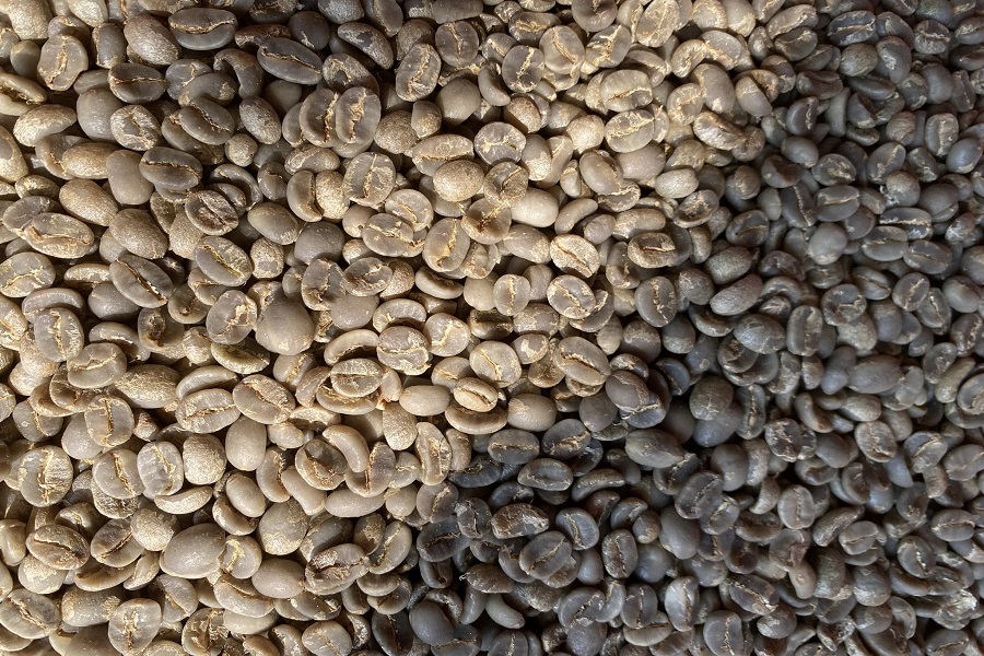 T&iacute;nh chung 3 th&aacute;ng đầu năm, xuất khẩu c&agrave; ph&ecirc; vẫn duy tr&igrave; đ&agrave; tăng về sản lượng