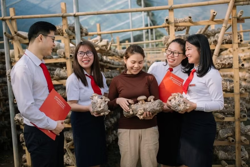 Ưu đ&atilde;i l&atilde;i suất d&agrave;nh cho doanh nghiệp nhỏ v&agrave; vừa l&ecirc;n tới 0,6%/năm. (Ảnh: Vietnam+)