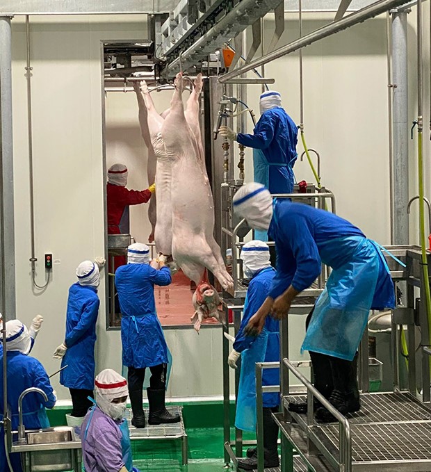 Tuyên Quang: Siết chặt kỷ cương trong kiểm soát hoạt động giết mổ động vật