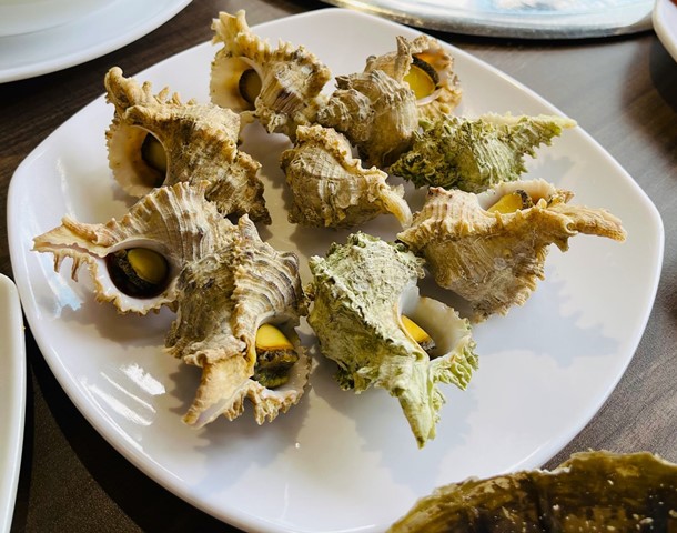 Ốc biển Nam &Ocirc;.