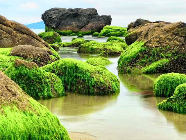 Ghềnh đ&aacute; r&ecirc;u xanh Nam &Ocirc;.