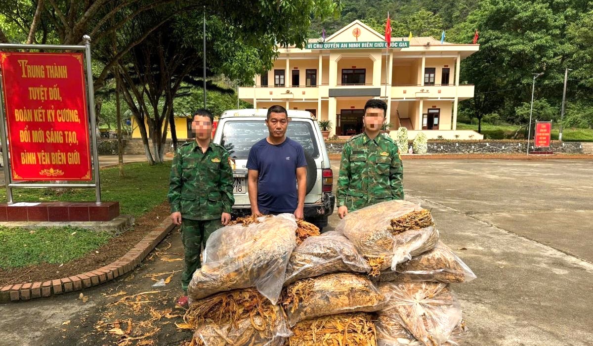 Cao Bằng: Phát hiện hơn 600kg nguyên liệu thuốc lá, tiêu hủy hàng trăm cây thuốc phiện