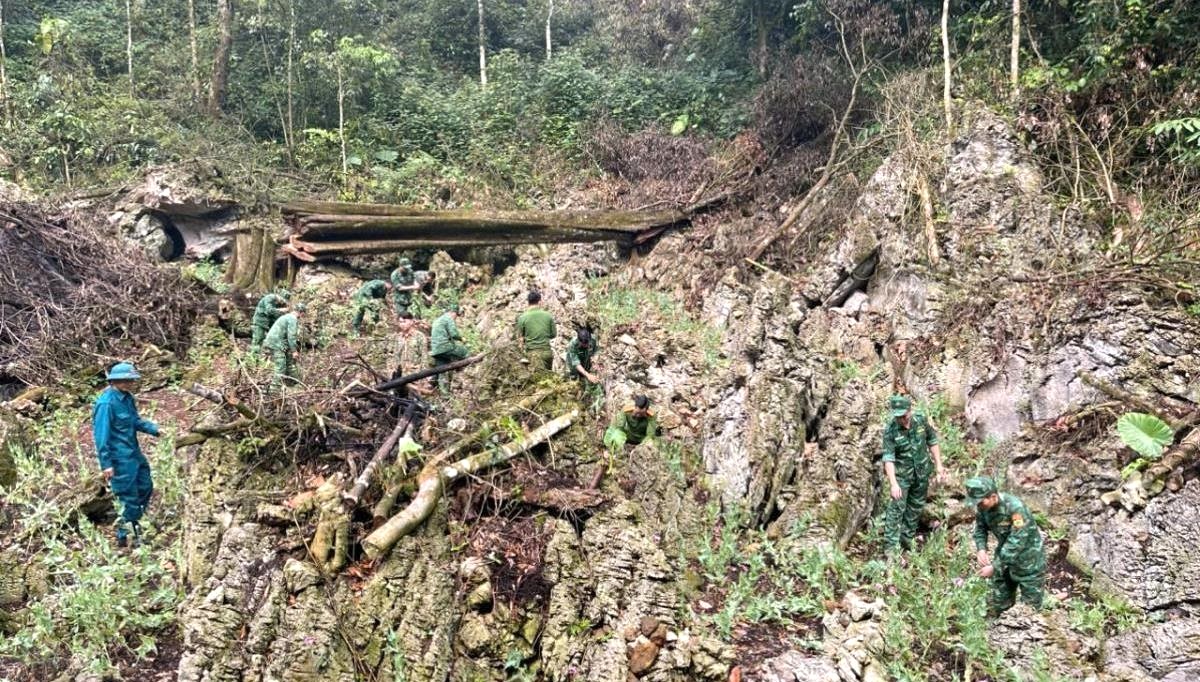 lực lượng tiến h&agrave;nh ph&aacute; nhổ c&acirc;y thuốc phiện trồng tr&aacute;i ph&eacute;p tr&ecirc;n địa b&agrave;n x&oacute;m Lũng Mần