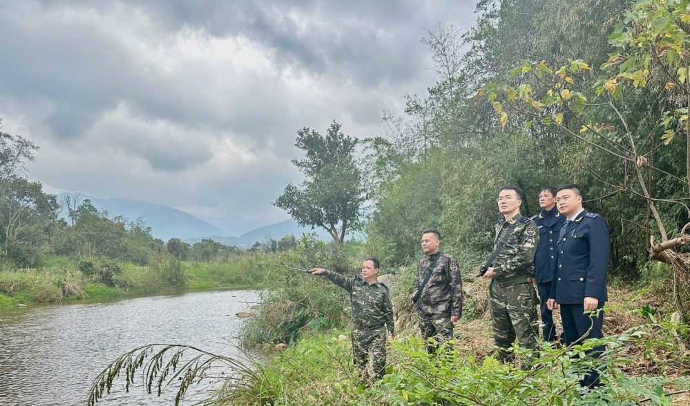 Hải quan khu vực VIII triển khai thực hiện Chiến dịch Con rồng Mê Kông VIII