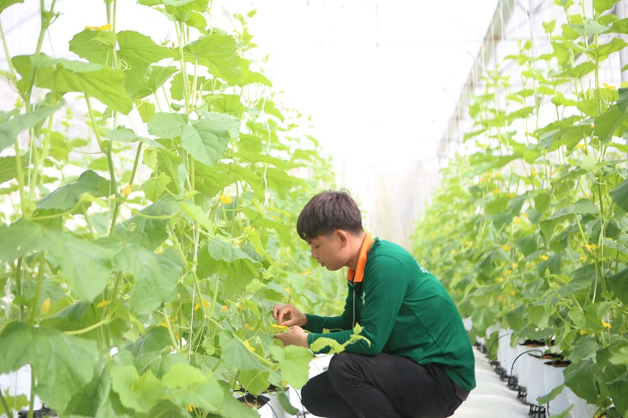 Danh mục sản phẩm được L&acirc;m Đồng hỗ trợ mở rộng cho nhiều loại n&ocirc;ng sản đặc th&ugrave;