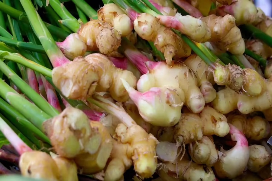 Gừng kh&ocirc;ng chỉ tạo vị ấm cho m&oacute;n ăn m&agrave; c&ograve;n nổi bật với khả năng chống vi&ecirc;m, chống oxy h&oacute;a