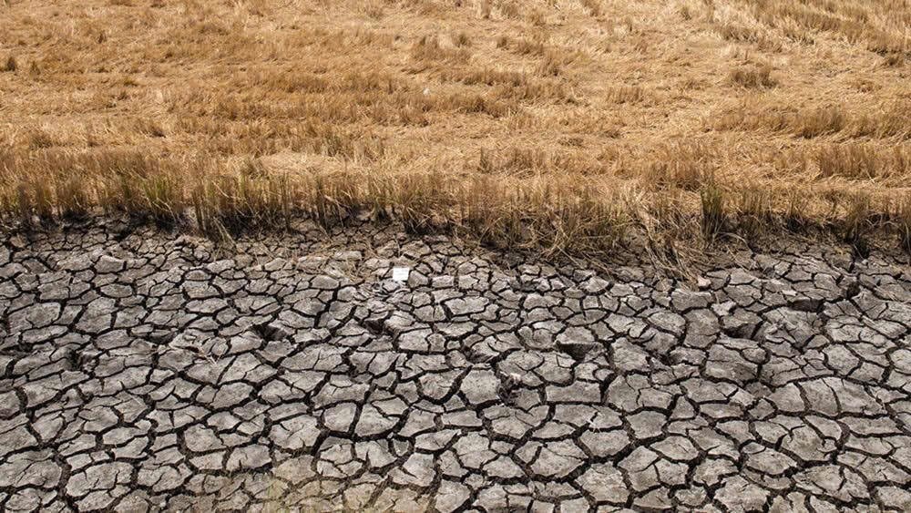 Bộ Nông nghiệp và Môi trường cảnh báo nguy cơ thiếu hụt nguồn nước do El Nino