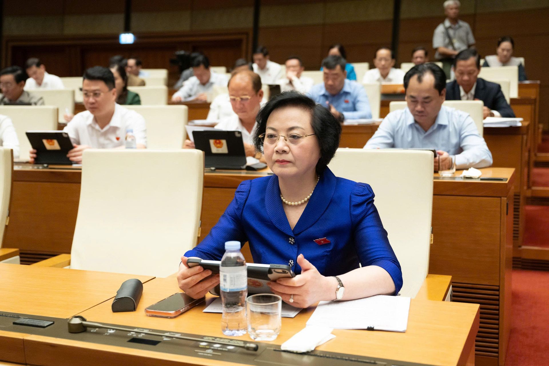 C&aacute;c đại biểu tham dự phi&ecirc;n họp