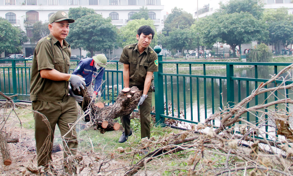 C&aacute;c lực lượng tham gia dọn vệ sinh, cảnh quan m&ocirc;i trường tại buổi lễ.