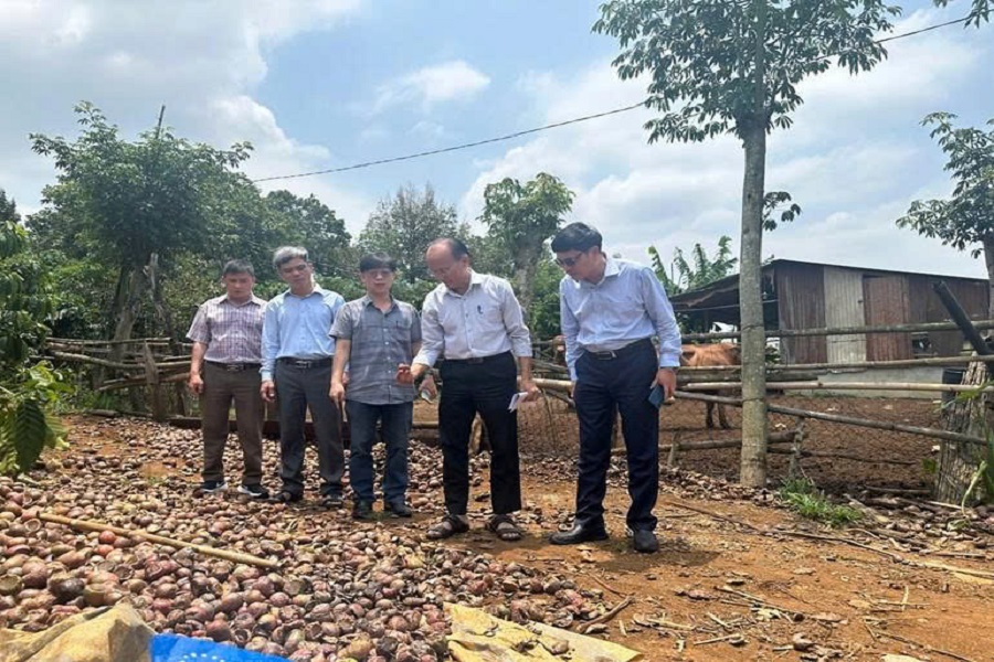 Đo&agrave;n chuy&ecirc;n gia kiểm tra thực tế m&ocirc; h&igrave;nh chăn nu&ocirc;i b&ograve; tại x&atilde; Nh&acirc;n Cơ, tỉnh L&acirc;m Đồng